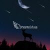 Интерьерный постер Ночной звездопад
